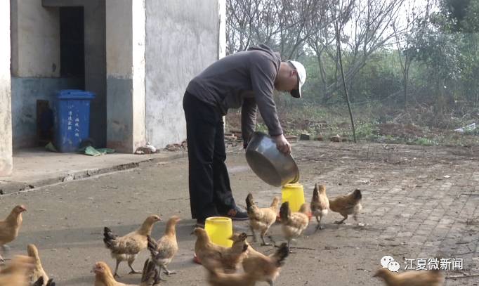 新闻｜阅读两分钟 知晓江夏事「2017年12月13日」