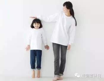 周末去哪4月8日9日除了约ta还有这些活动陶冶情操