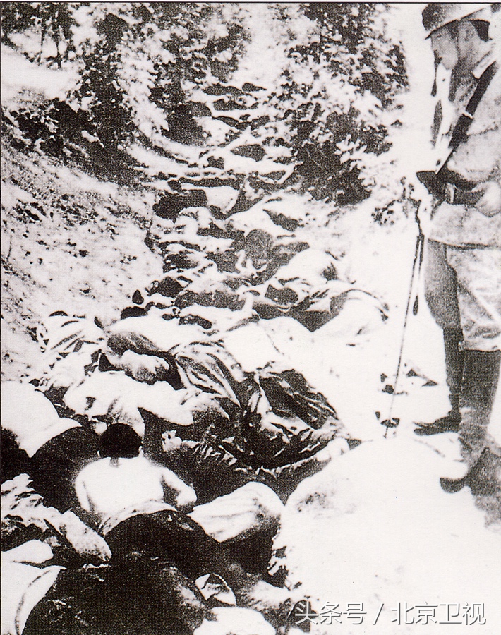 南京大屠杀“要杀就杀，要奸就奸，不管老少！”84天她冒死写下日记