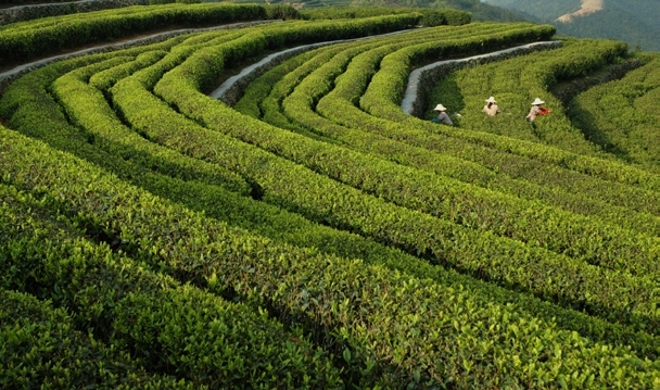 羊岩山景区图片图片