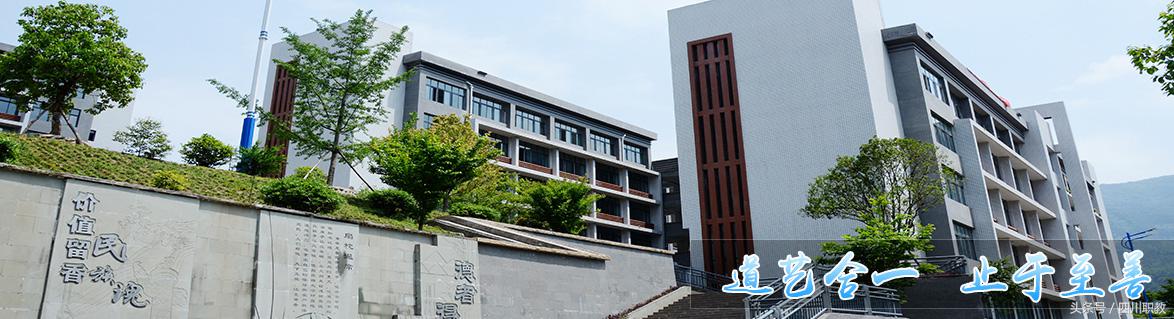 四川仅有7所学校入选这份名单：中职学校有5所，大学才2所