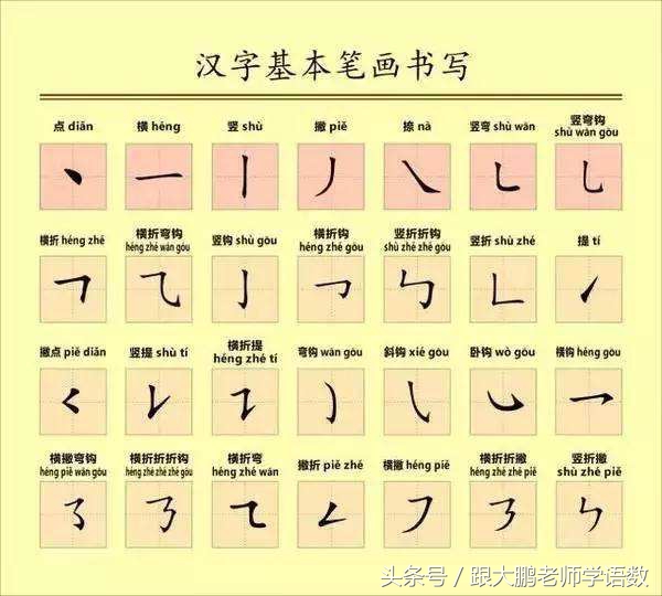 部编版一年级语文上册生字笔顺书写卷（每天坚持、能写一手好字）