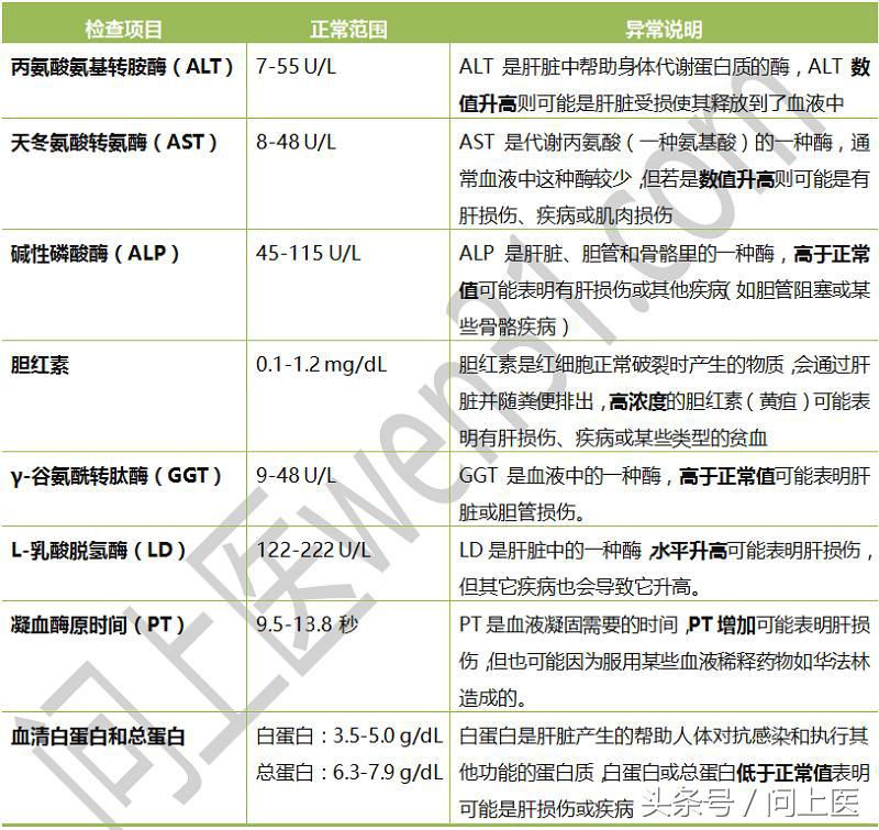 肝功能检查指标异常是什么原因？医生是如何诊断肝病的？