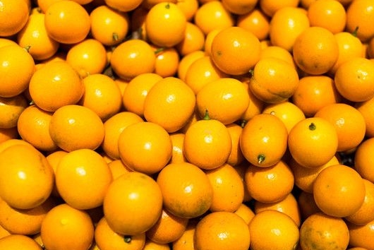 金桔子又名:金柑,夏橘,金枣,寿星柑,给客橙,金蛋,罗浮.