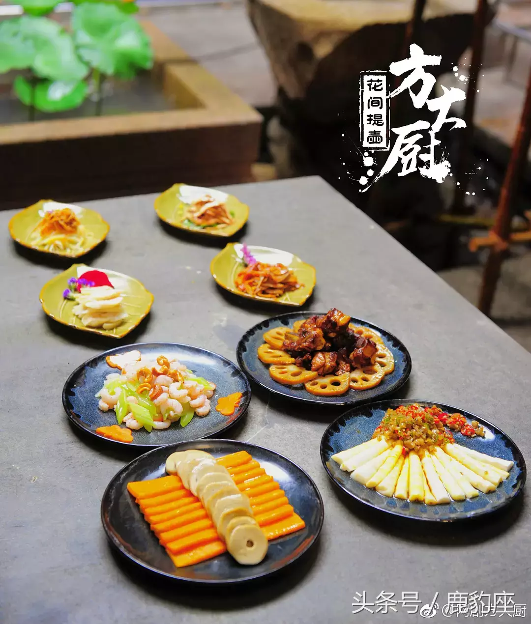 2017年豆瓣评分最高的十部网剧 第一名演技炸裂实至名归