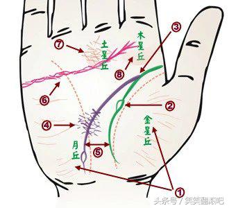 「健康」揭秘：从掌纹看你的身体是否健康