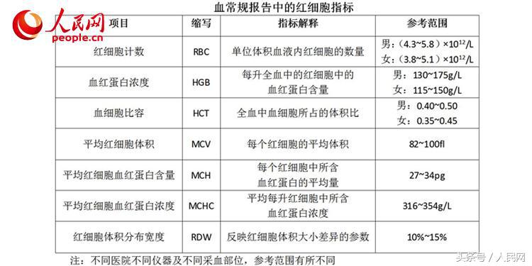 红细胞平均体积偏低的原因及意义