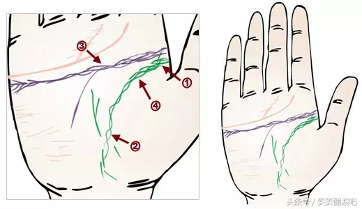 「健康」揭秘：从掌纹看你的身体是否健康