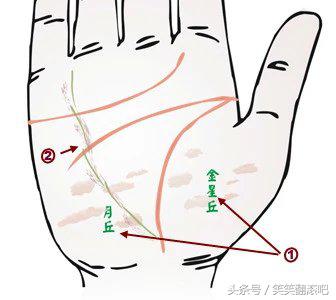 「健康」揭秘：从掌纹看你的身体是否健康