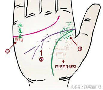 「健康」揭秘：从掌纹看你的身体是否健康