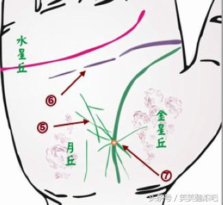 「健康」揭秘：从掌纹看你的身体是否健康