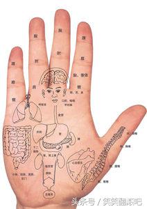 「健康」揭秘：从掌纹看你的身体是否健康