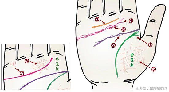 「健康」揭秘：从掌纹看你的身体是否健康