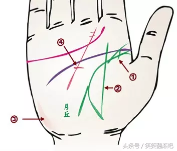 「健康」揭秘：从掌纹看你的身体是否健康