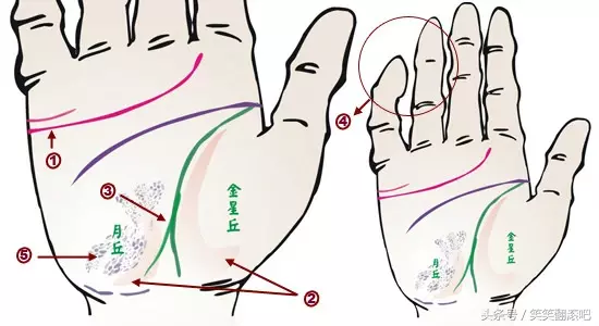 「健康」揭秘：从掌纹看你的身体是否健康