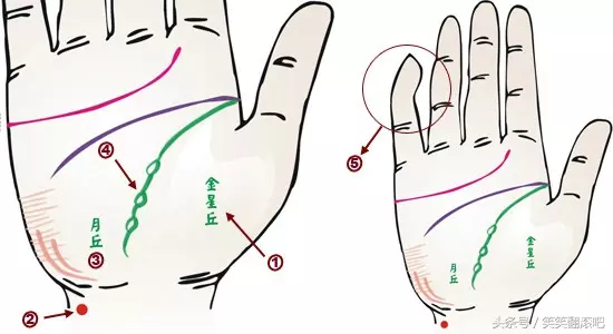 「健康」揭秘：从掌纹看你的身体是否健康