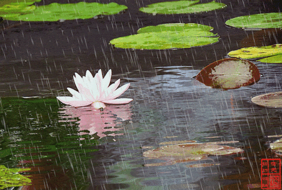 雨声滴碎荷声"的春,"接天莲叶无穷碧,映日荷花别样红"的夏,"一夜新霜