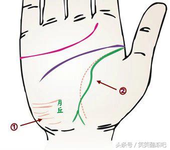 「健康」揭秘：从掌纹看你的身体是否健康