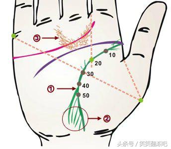 「健康」揭秘：从掌纹看你的身体是否健康