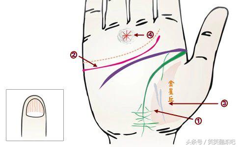 「健康」揭秘：从掌纹看你的身体是否健康