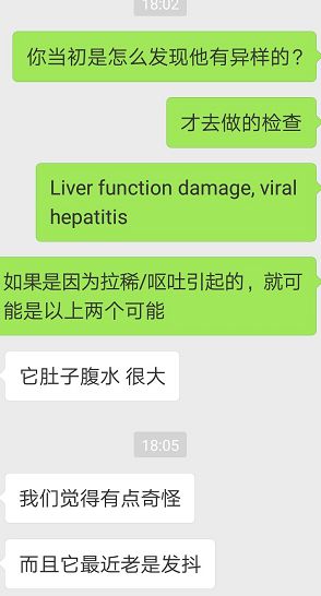 淘宝8元一斤买的英国进口狗粮，直接把狗吃进了医院