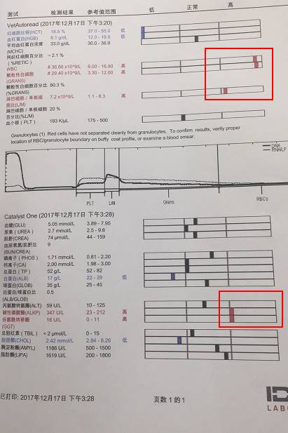 淘宝8元一斤买的英国进口狗粮，直接把狗吃进了医院