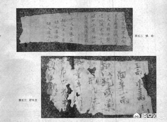 趣味考据：「饺子」起源演变考—从吐鲁番唐墓出土的「饺子」说起
