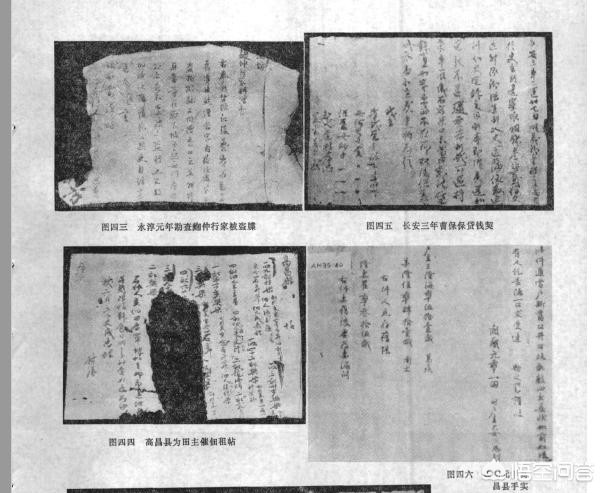 趣味考据：「饺子」起源演变考—从吐鲁番唐墓出土的「饺子」说起