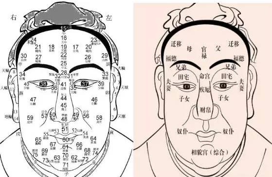 相观天下：相学如何看脖子，鼻子，耳朵