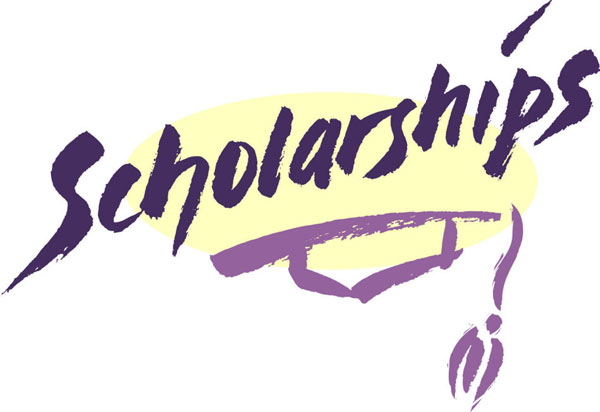 大学生奖学金申请理由（这么多诱人的奖学金）