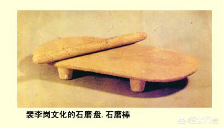 趣味考据：「饺子」起源演变考—从吐鲁番唐墓出土的「饺子」说起