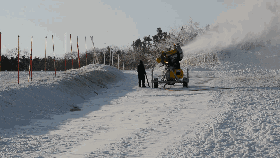 别人家的大学：地处热带的泰国队获得雪雕大奖