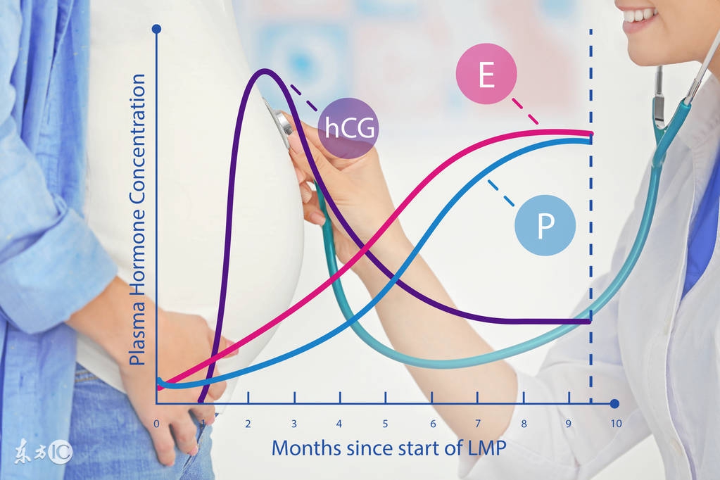 3分钟看懂化验单——血HCG检查是什么？怎么看？数值代表了什么？