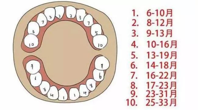 宝宝多大开始长牙？医生给出科学长牙时间表，家长不必太着急