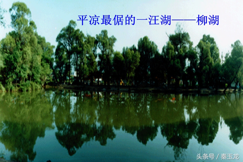 在平凉，有一种贱皮子叫欠日噘
