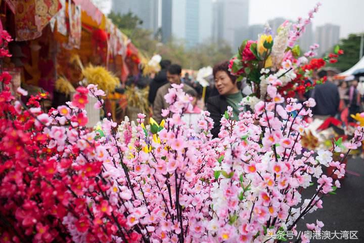 71.8万元！广州西湖花市“标王”又被卖牛奶的拿下，花街不卖花？