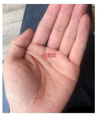 该手相是比较不错的一种的手相,在手掌中四指下方的木星丘,土星丘