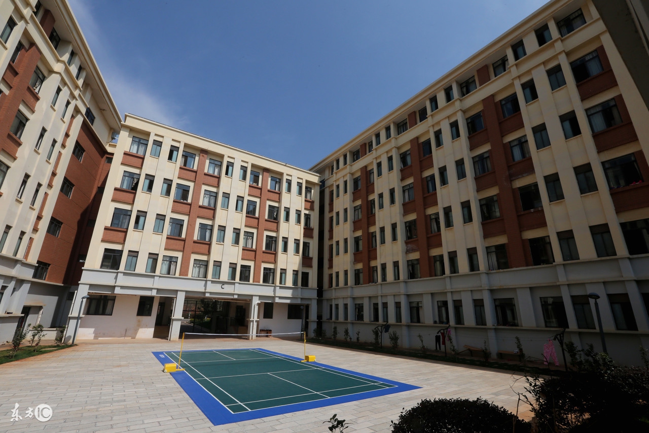 大学宿舍生存指南，千万别一不小心就树敌！