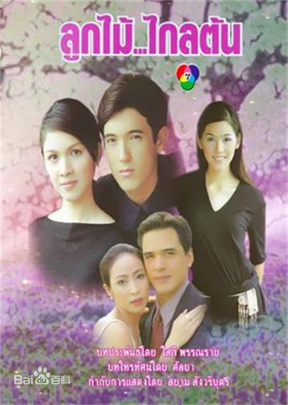 我推了8部泰国电视剧，你追了多久？