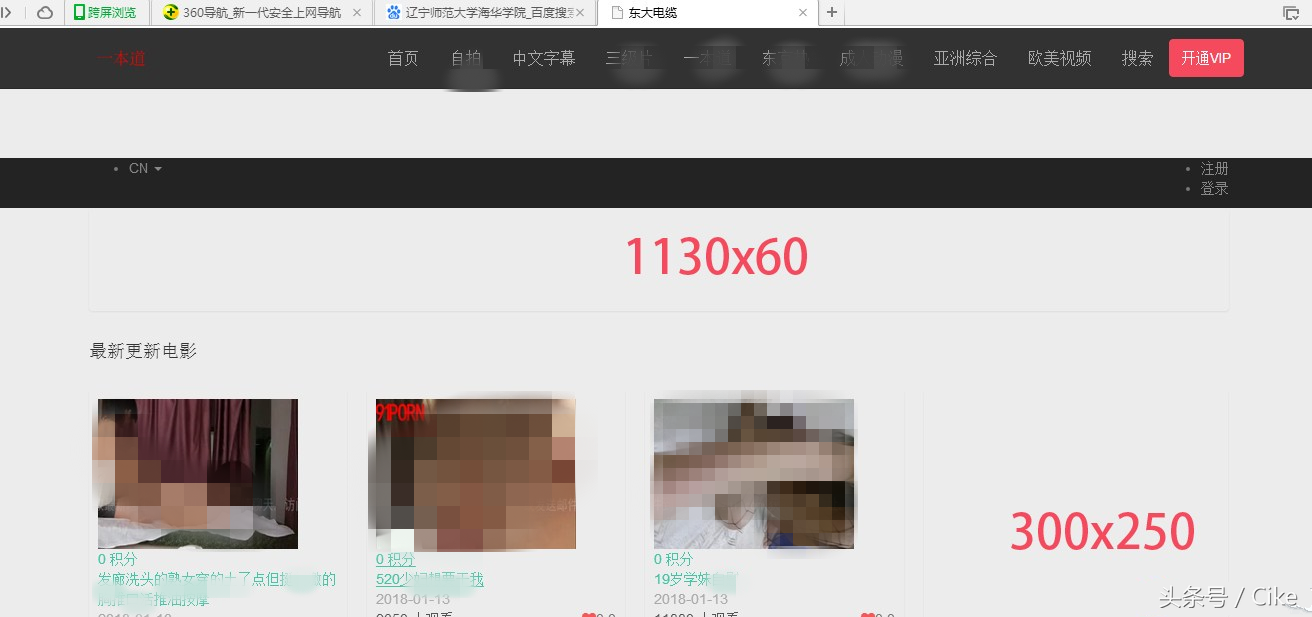 辽宁师范大学海华学院官网被黑