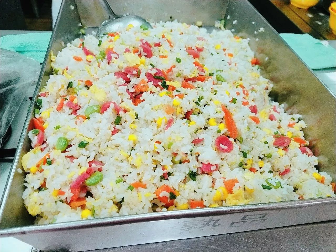 松江大学城(100张图告诉你)