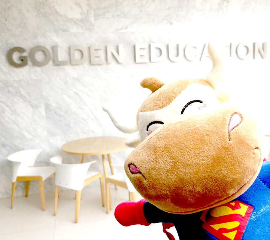 90后初级会计师生存现状：苦逼工作，假装生活，笑着考证