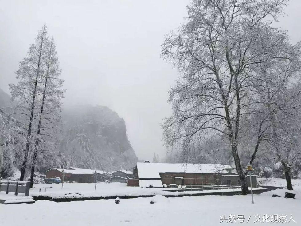 大雪封门好读诗：蔚为壮观一组各地诗友原创咏雪诗，有心人拿去用