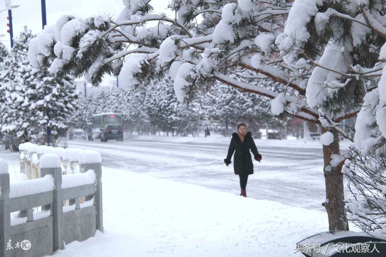 大雪封门好读诗：蔚为壮观一组各地诗友原创咏雪诗，有心人拿去用