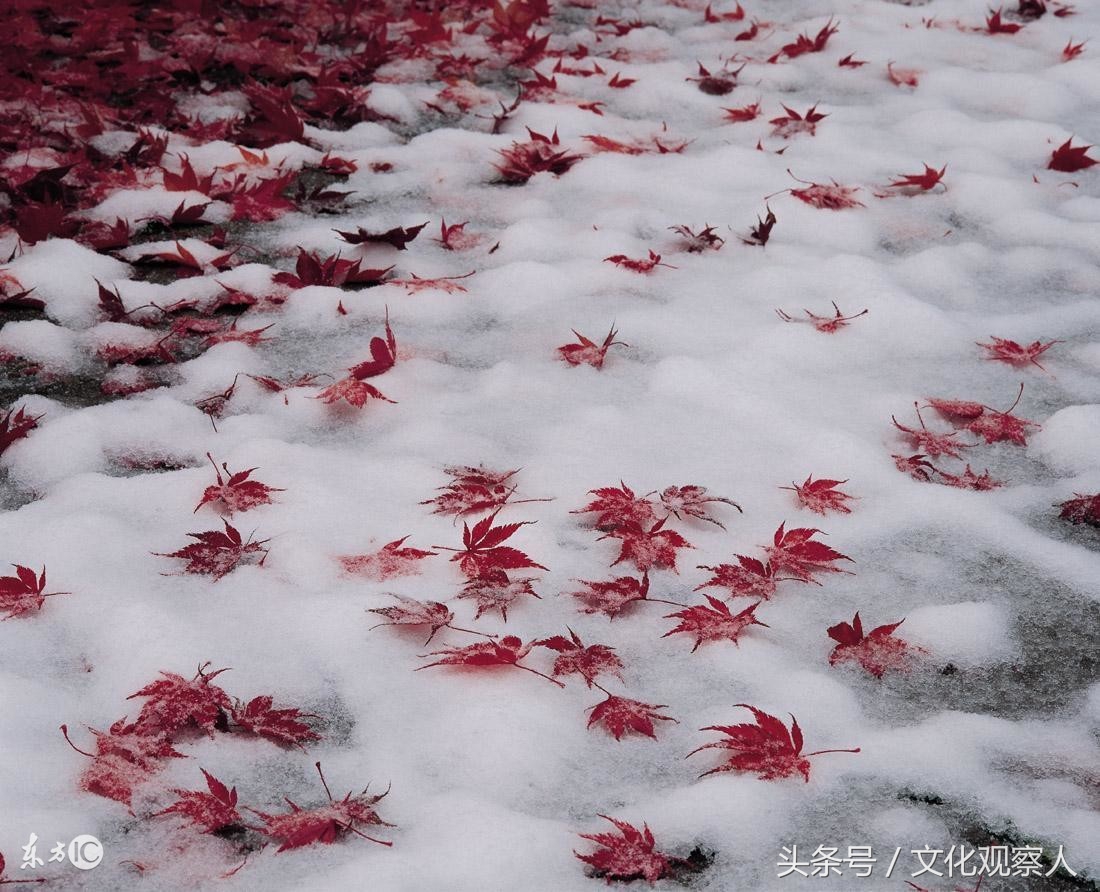 大雪封门好读诗：蔚为壮观一组各地诗友原创咏雪诗，有心人拿去用