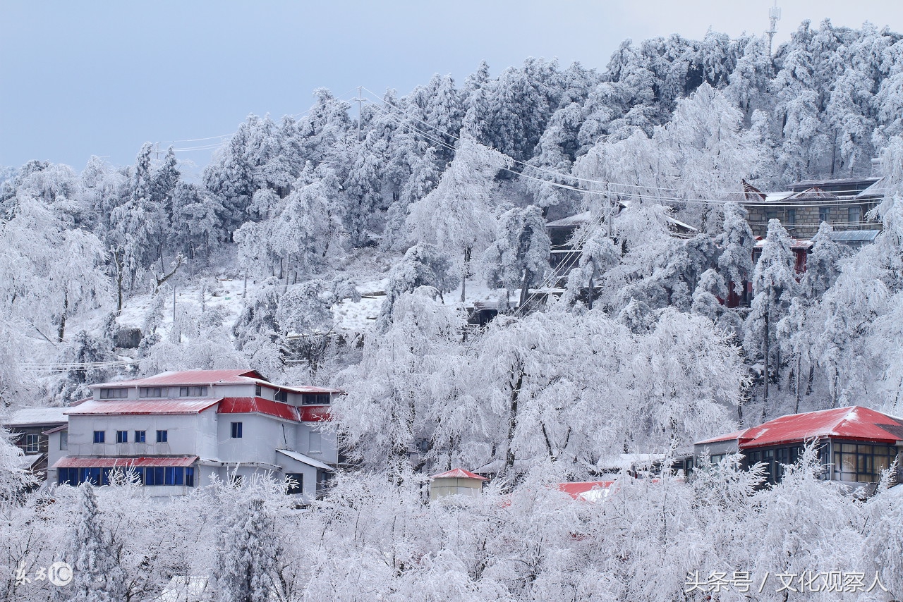 大雪封门好读诗：蔚为壮观一组各地诗友原创咏雪诗，有心人拿去用