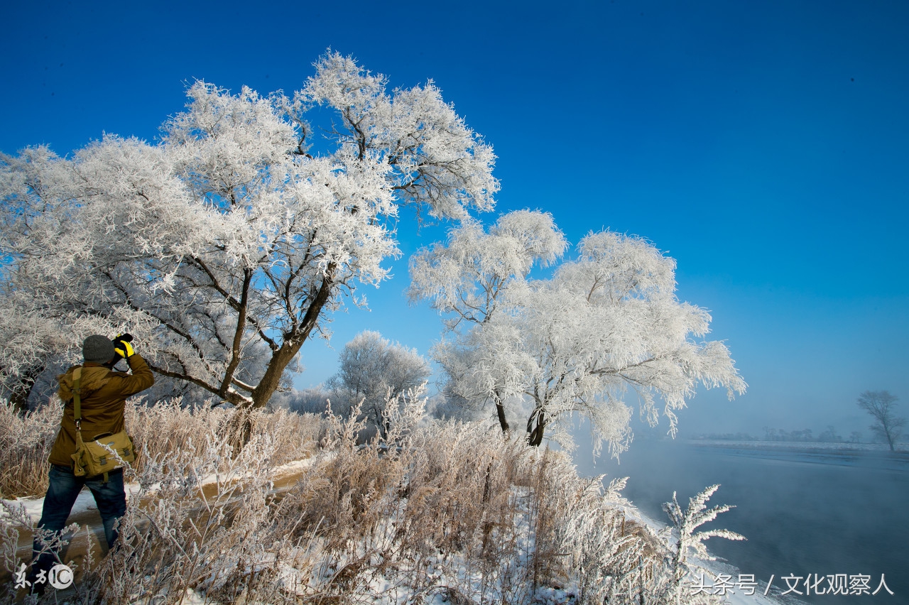 大雪封门好读诗：蔚为壮观一组各地诗友原创咏雪诗，有心人拿去用