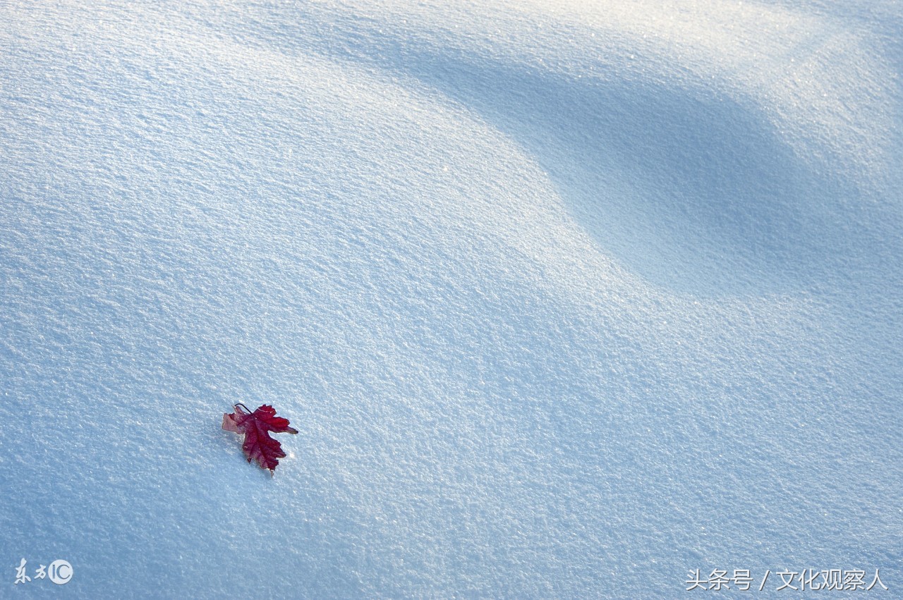 大雪封门好读诗：蔚为壮观一组各地诗友原创咏雪诗，有心人拿去用