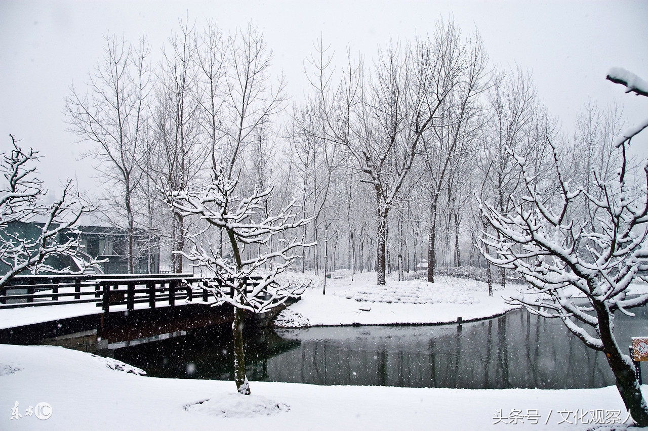大雪封门好读诗：蔚为壮观一组各地诗友原创咏雪诗，有心人拿去用