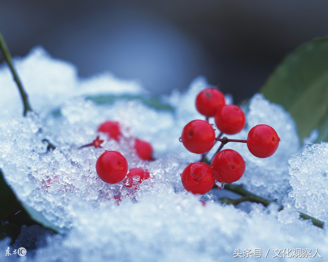 大雪封门好读诗：蔚为壮观一组各地诗友原创咏雪诗，有心人拿去用